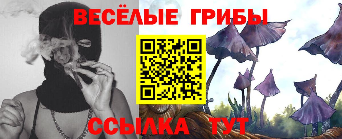 Десногорск  Псилоцибиновые грибы ЛСД  Вход с VPN  Псилоцибиновые грибы прущие грибы 